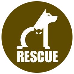 Cat Adoption Central logo .Logo design by randyhell